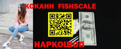 apvp Гатчина