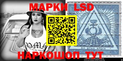 apvp Гатчина