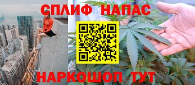 apvp Гатчина