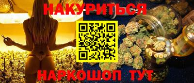 apvp Гатчина