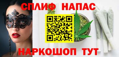 apvp Гатчина