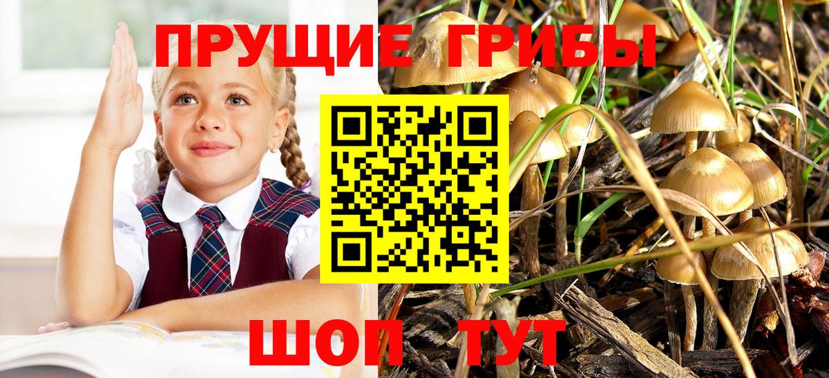 Галлюциногенные грибы GOLDEN TEACHER Наро-Фоминск