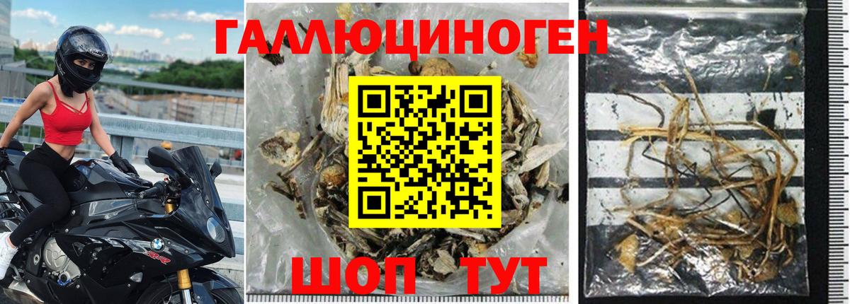 Псилоцибиновые грибы Psilocybe  Вход с VPN  Галлюциногенные грибы Magic Shrooms  Наро-Фоминск 